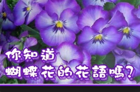 心願椒草花語|【花博必備】100種「花語」你知道嗎？